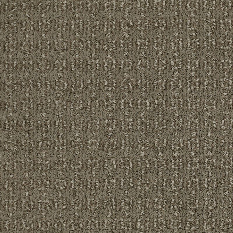 Shaw Floors Nfa/Apg Chic Classic Tibetan Plateau