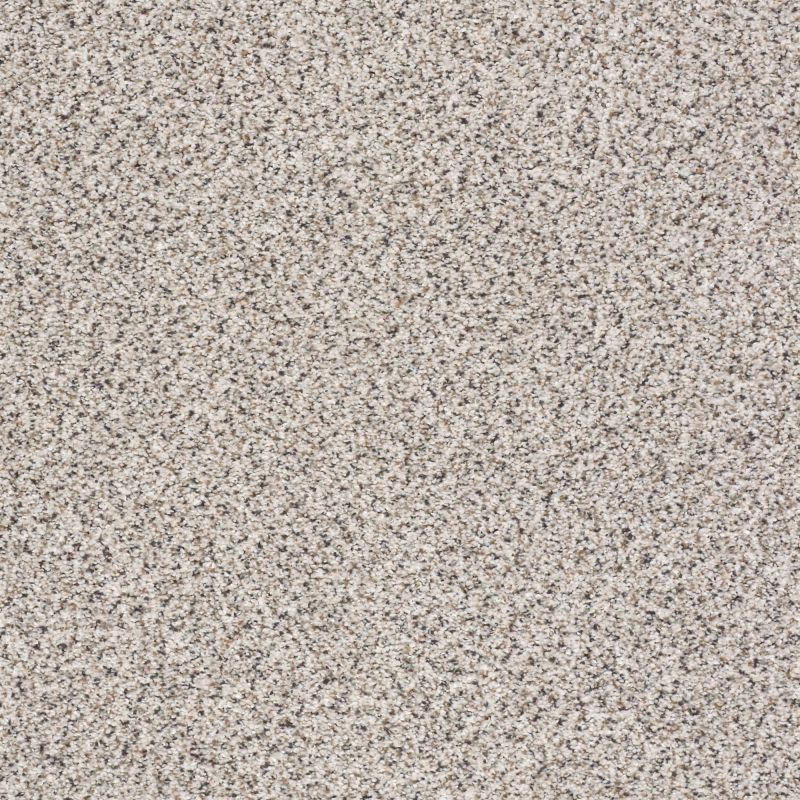 Shaw Floors Nfa/Apg Graceful Texture Accent Carrara