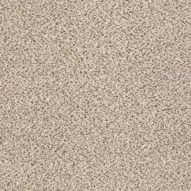 Shaw Floors Nfa/Apg Elegant Texture Accent Bistro