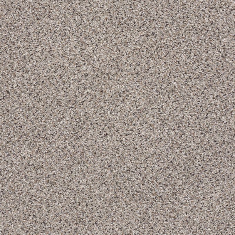 Shaw Floors Nfa/Apg Elegant Texture Accent Quartz