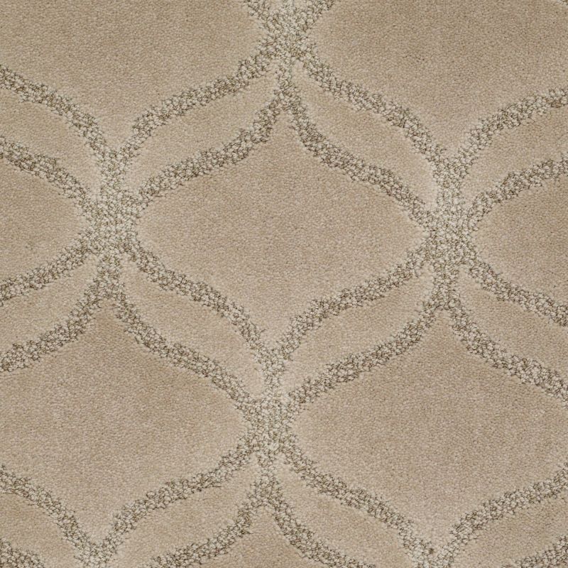 Shaw Floors Nfa/Apg Green Creek Llama