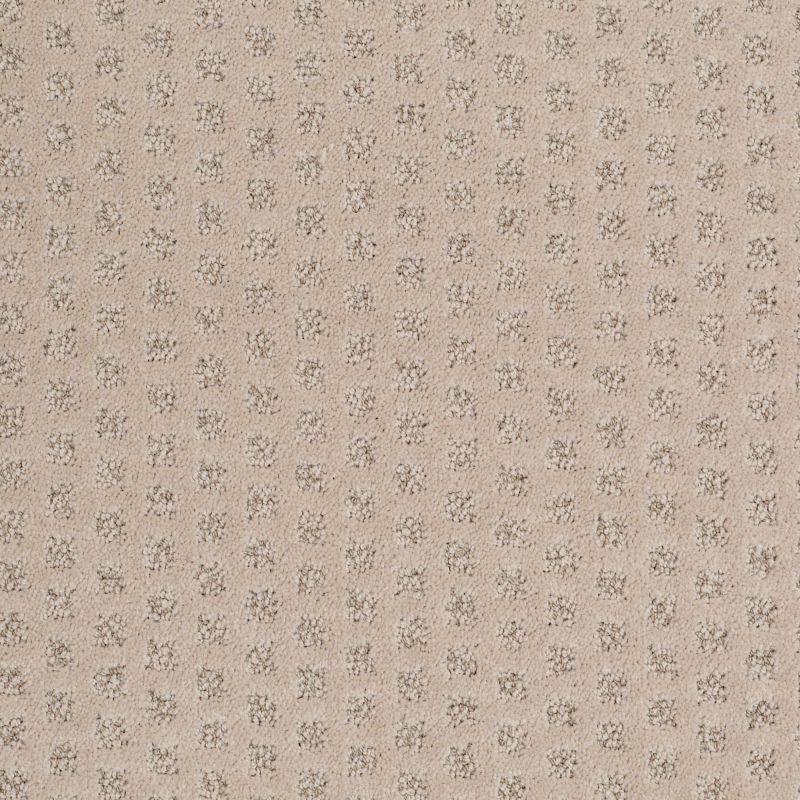 Shaw Floors Nfa/Apg Narrow Creek Fawn