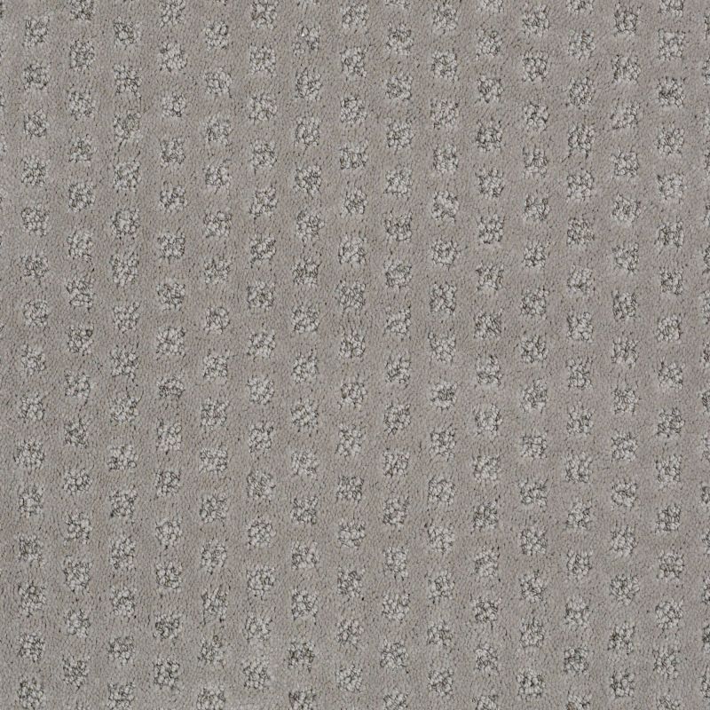 Shaw Floors Nfa/Apg Narrow Creek Lady In Grey