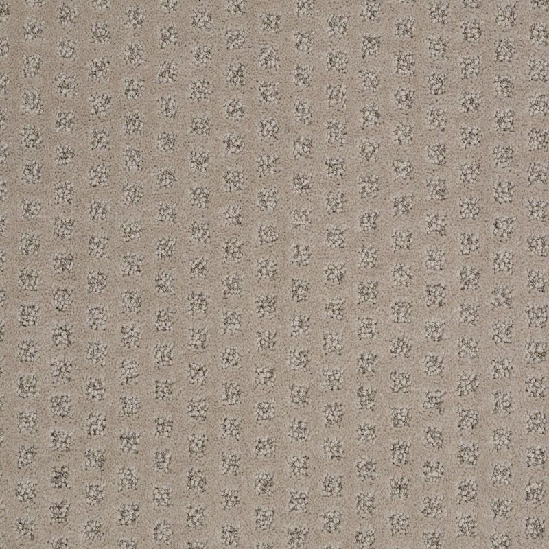 Shaw Floors Nfa/Apg Narrow Creek Dundee