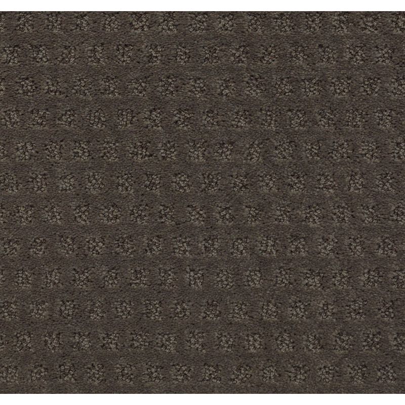 Shaw Floors Nfa/Apg Narrow Creek Glacier Park