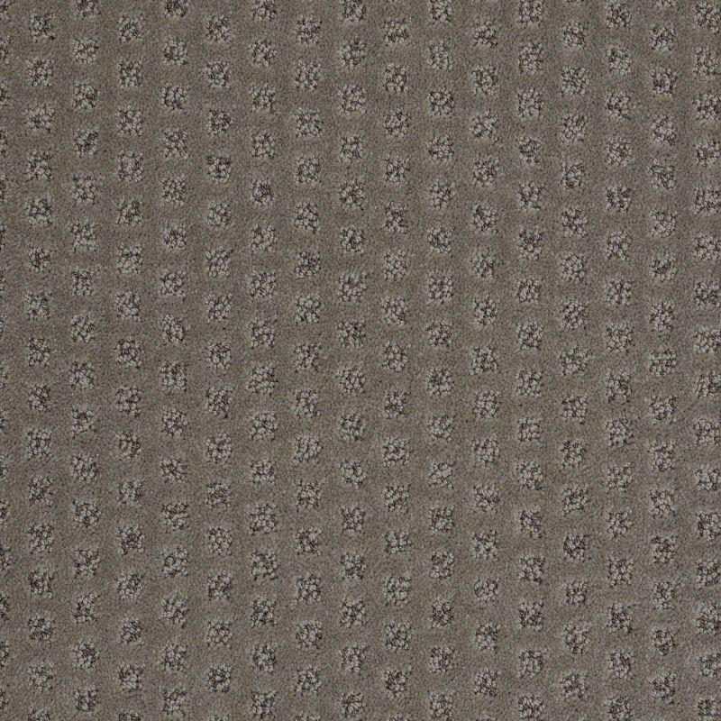 Shaw Floors Nfa/Apg Narrow Creek Essex