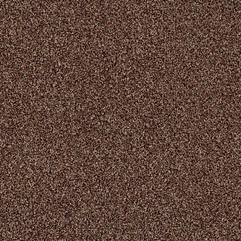 Shaw Floors Nfa Making The Rules II 12 Ocher