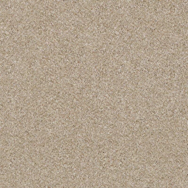 Shaw Floors Nfa Making The Rules III 15 Linen