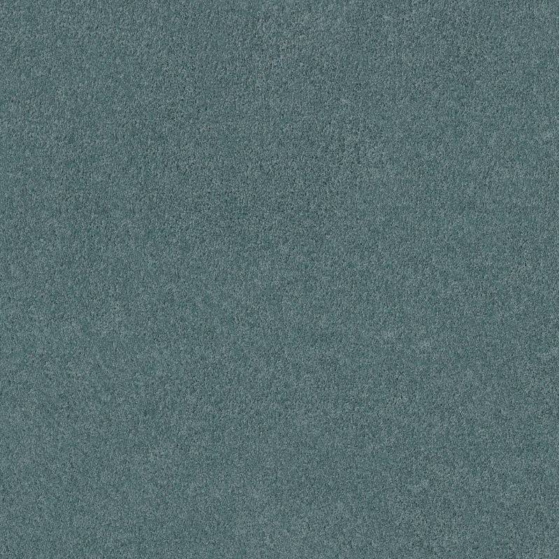 Shaw Floors Nfa/Apg Phenomenal II Sea Breeze