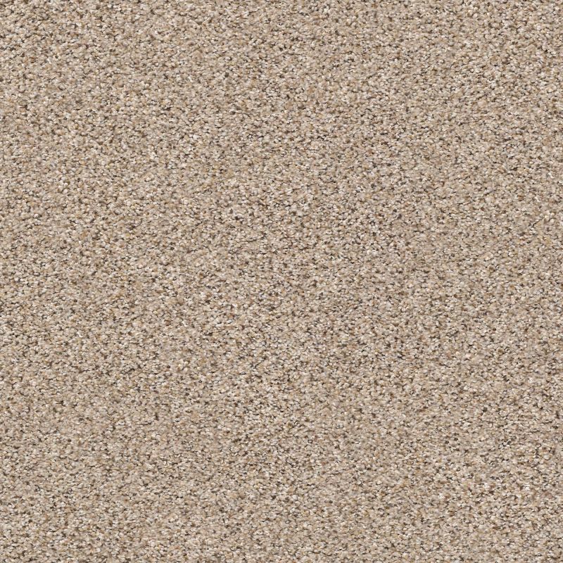 Shaw Floors Nfa/Apg Vigorous Mix II Acreage