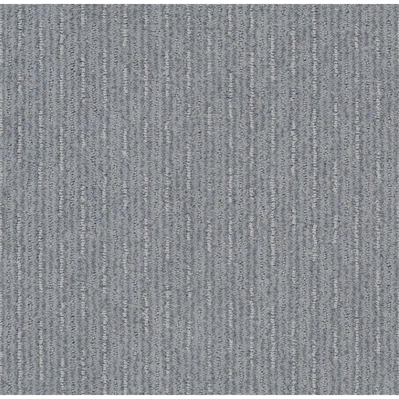 Shaw Floors Nfa/Apg Well Informed Silver Springs