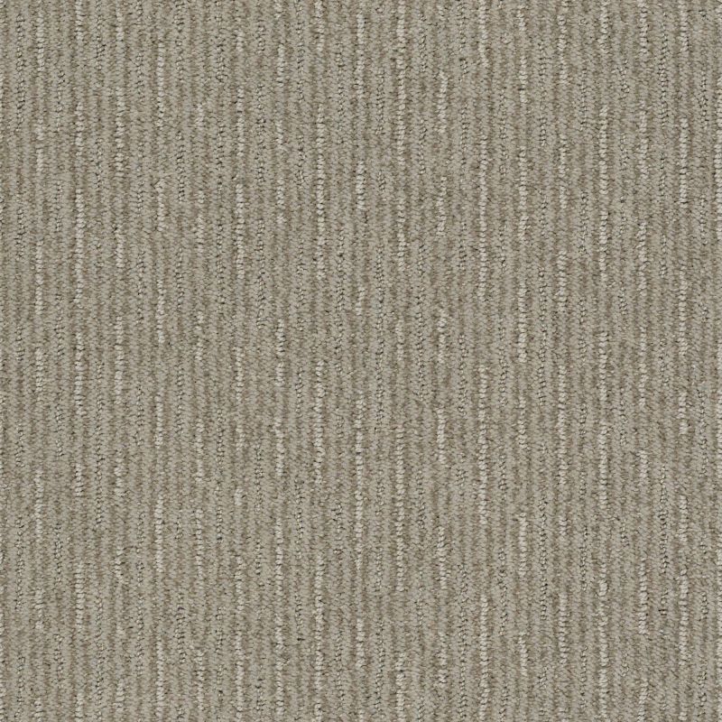 Shaw Floors Nfa/Apg Well Informed Park Avenue