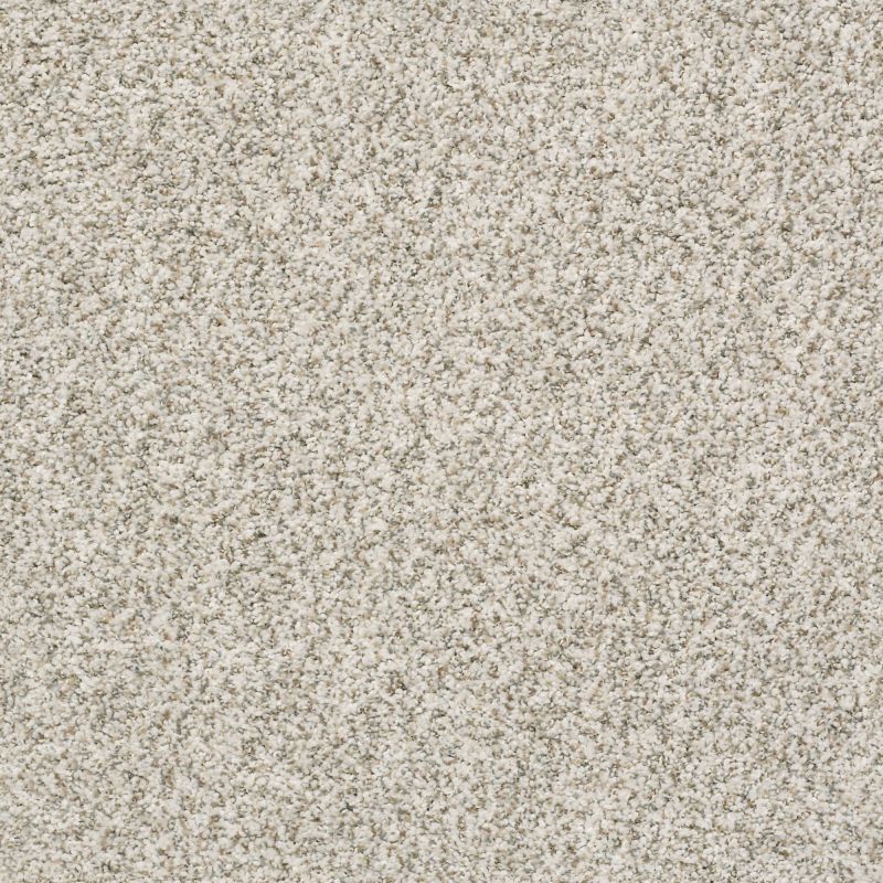 Shaw Floors Nfa/Apg Privy Ambiance