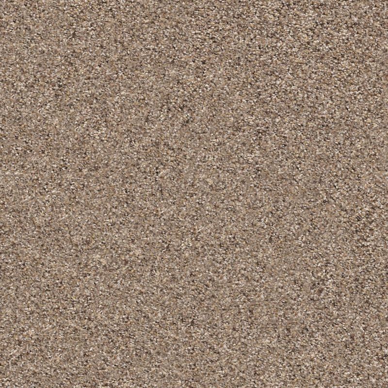 Shaw Floors Nfa/Apg Get With It Cobble Drive