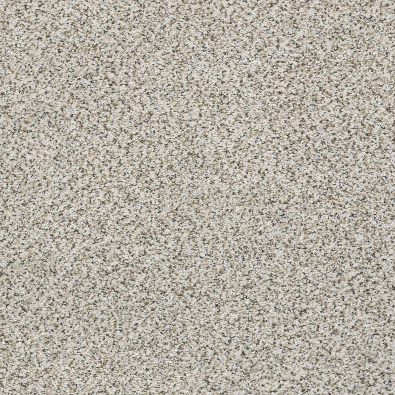 Shaw Floors Mixed Elegance II Snowbound