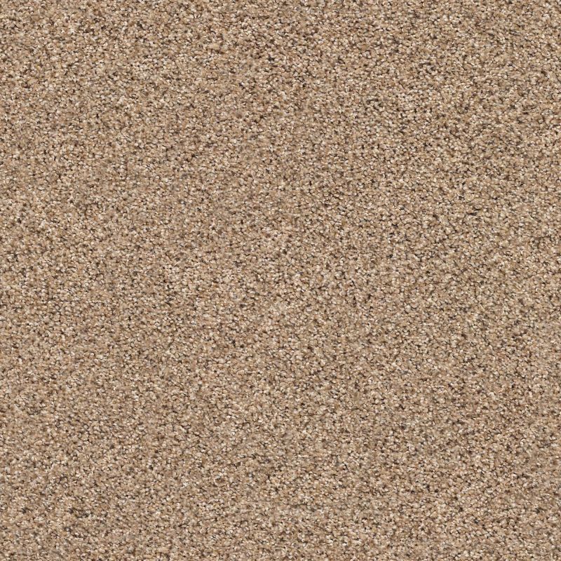 Shaw Floors Mixed Elegance III Arrowhead