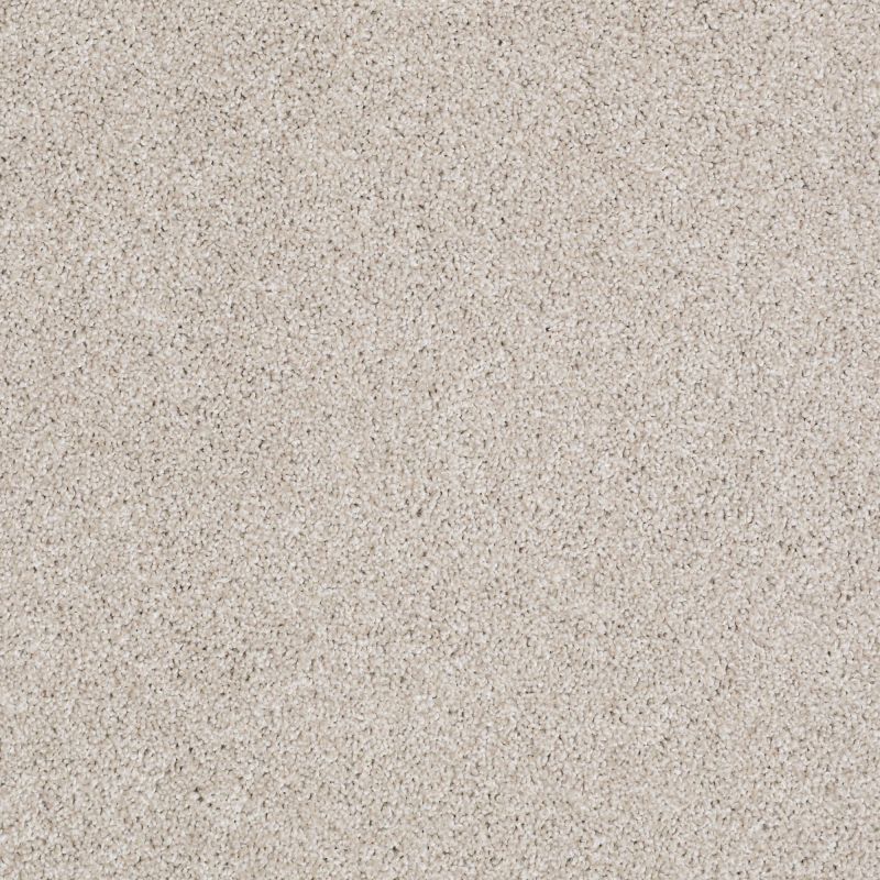 Shaw Floors Nfa/Apg On The Brink I Balanced Beige