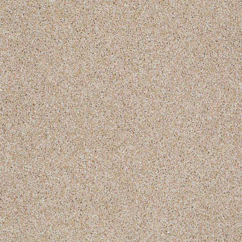 Shaw Floors Nfa/Apg On The Brink I Gold Rush