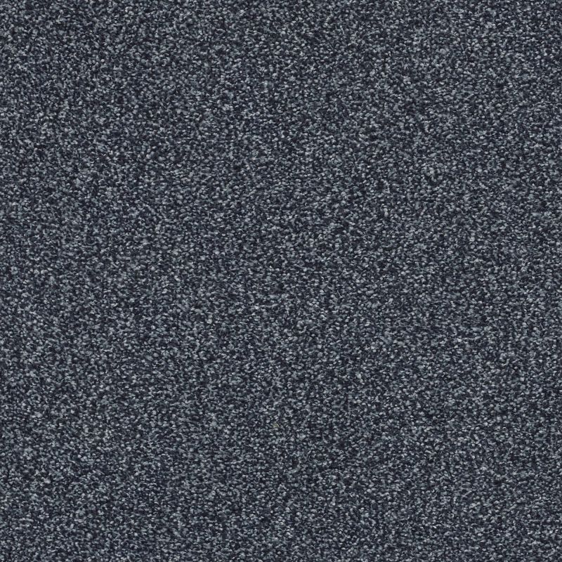 Shaw Floors Nfa/Apg On The Brink I Royal Navy