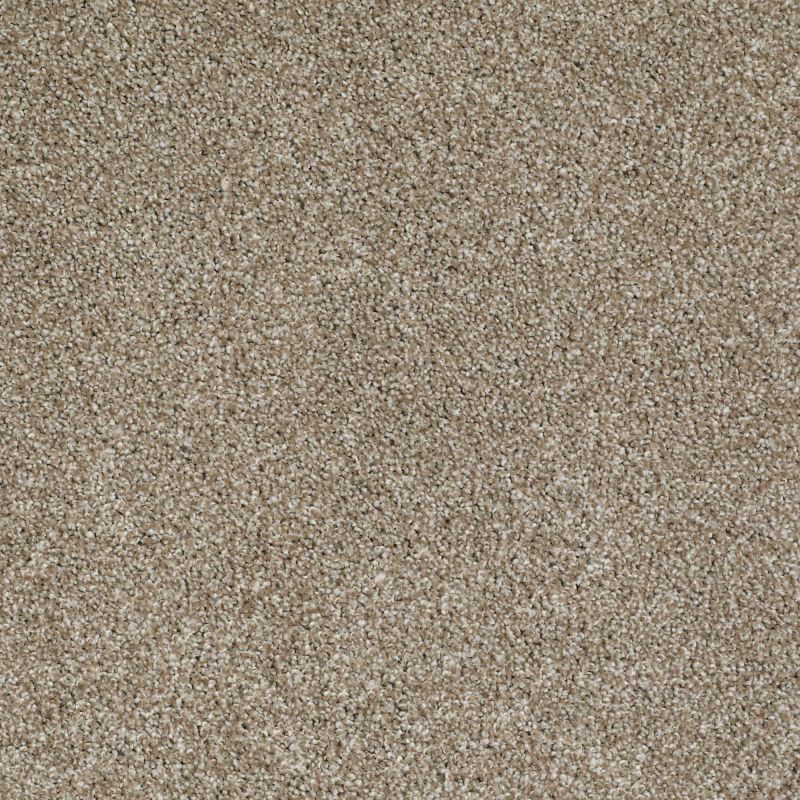 Shaw Floors Nfa/Apg On The Brink I Warmth