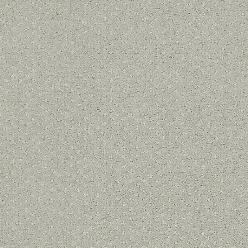 Shaw Floors Nfa/Apg Pure Instinct Offshore Mist