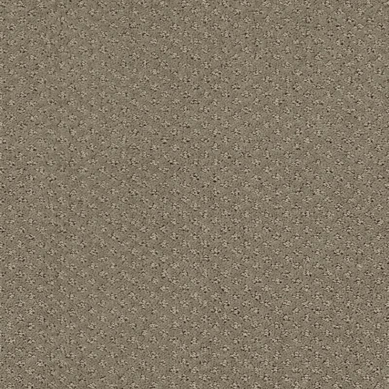 Shaw Floors Nfa/Apg Pure Instinct Abbey Stone