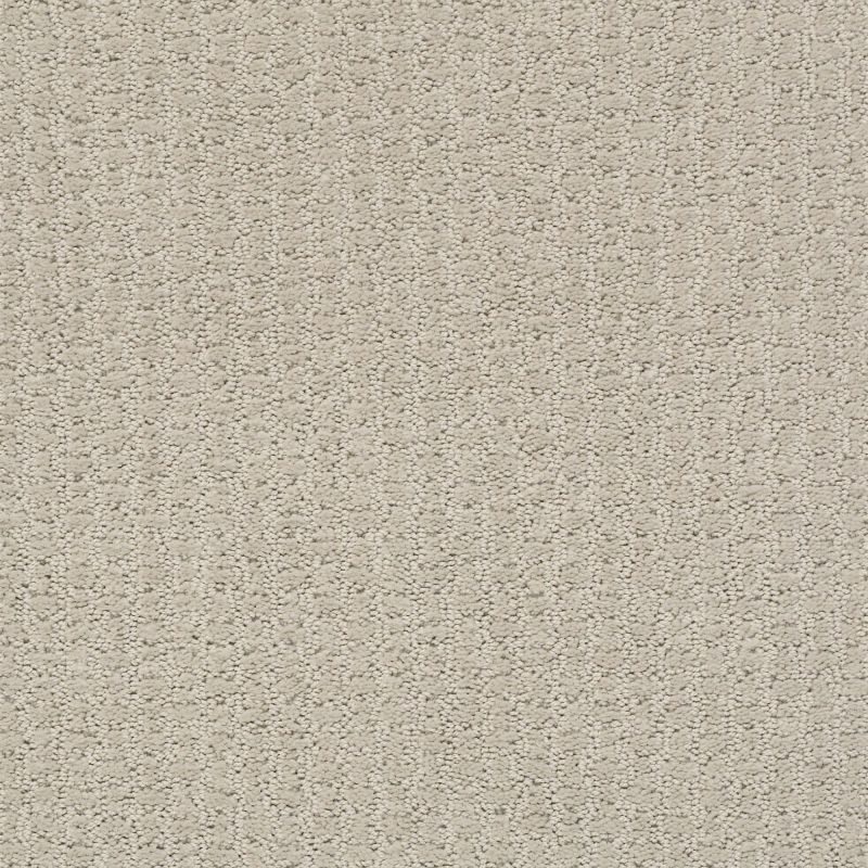 Shaw Floors Nfa/Apg Lose Control Quiet Moment