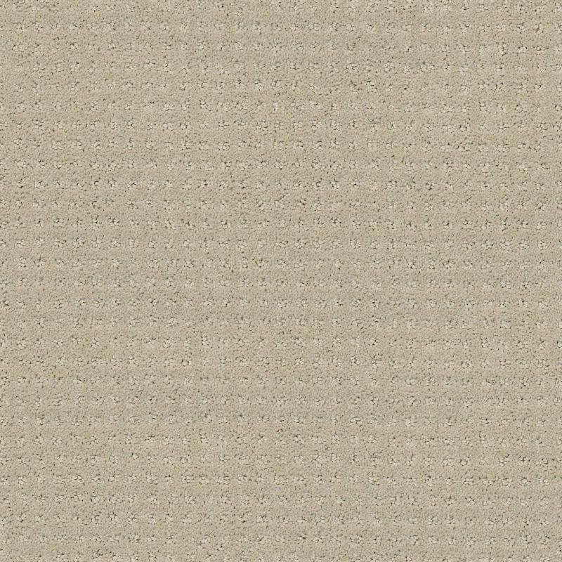 Shaw Floors Nfa/Apg Well Mannered Mindful