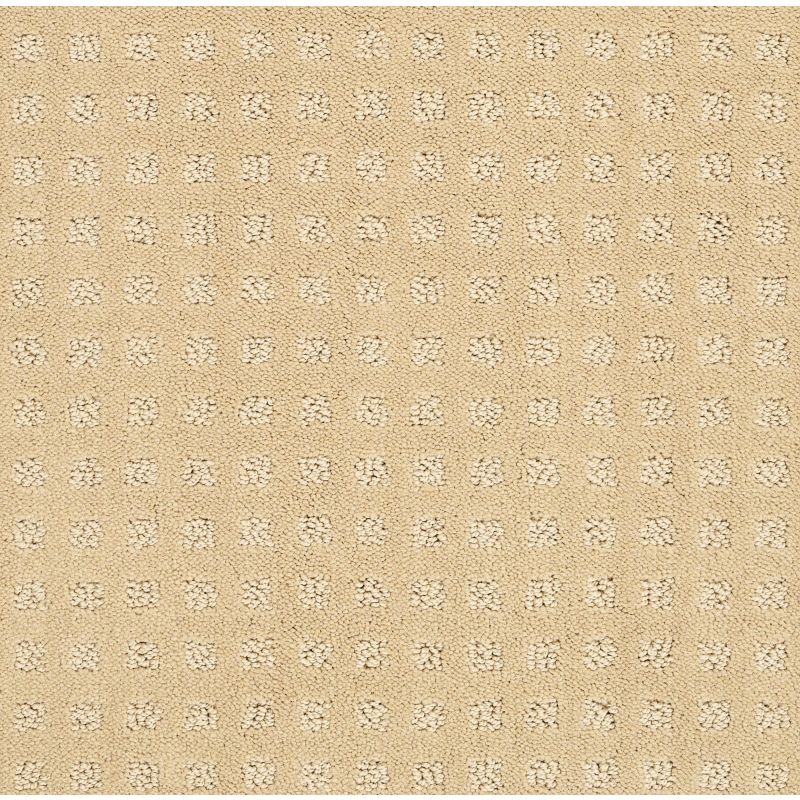 Shaw Floors Nfa/Apg Global Chic Golden Rule