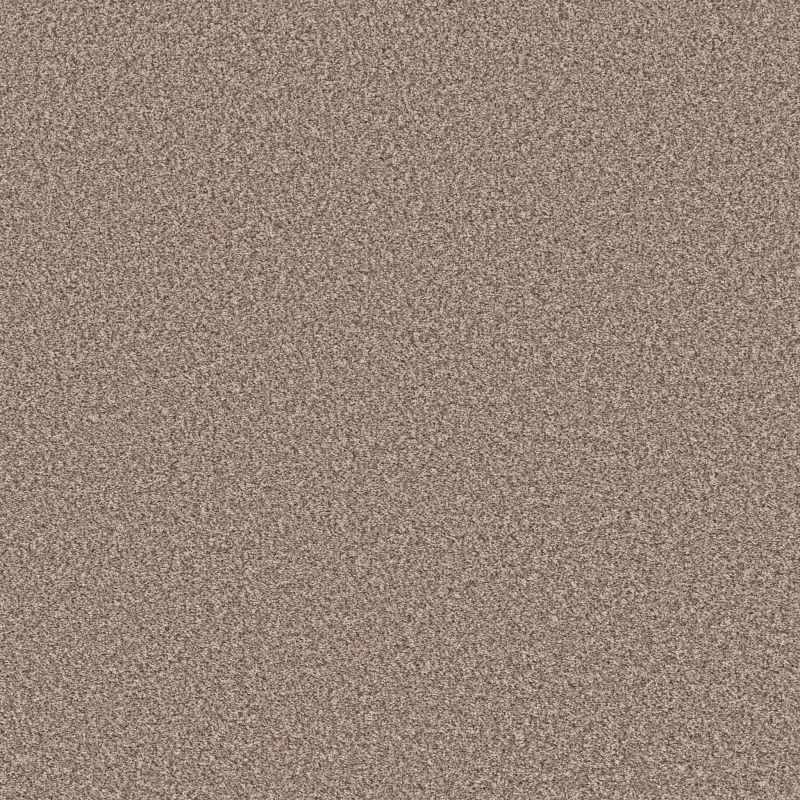 Shaw Floors Stunning I 12 Ivory Coast