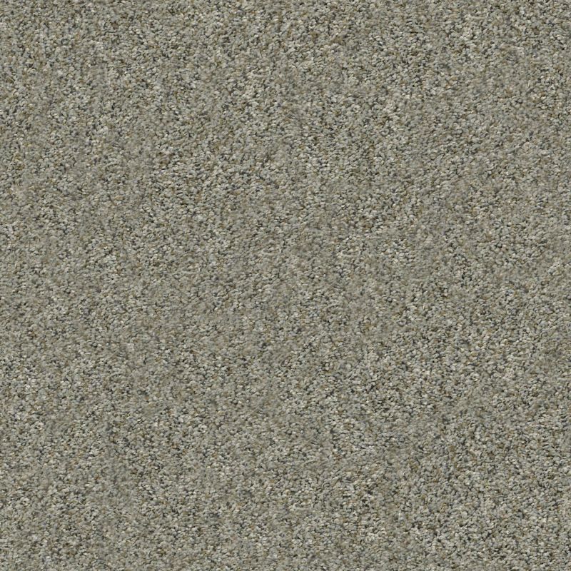 Shaw Floors Nfa Watts Up I Beach Walk