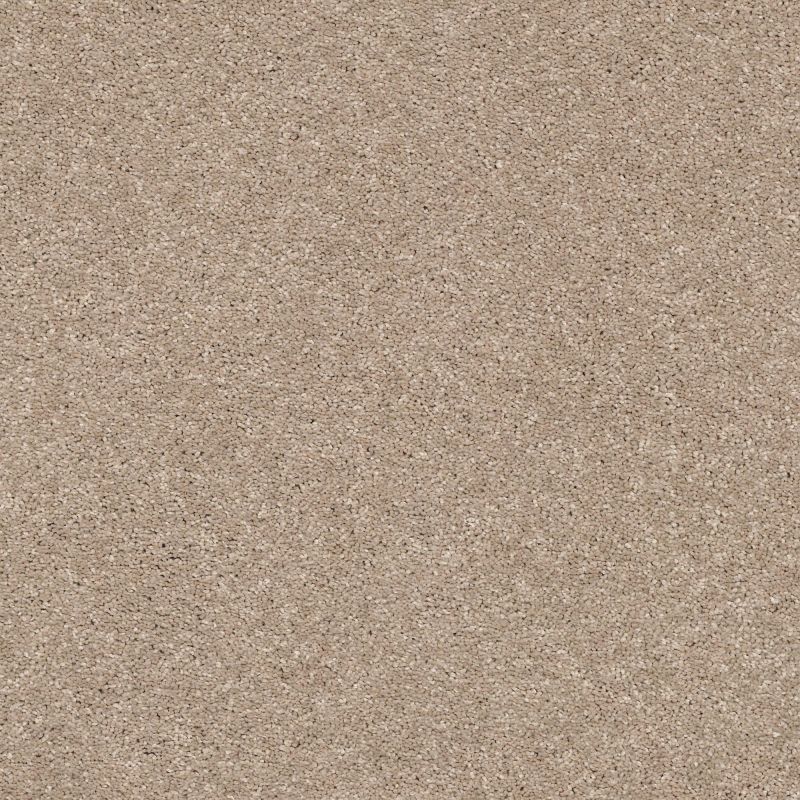 Shaw Floors Nfa Rule Breaker Toast