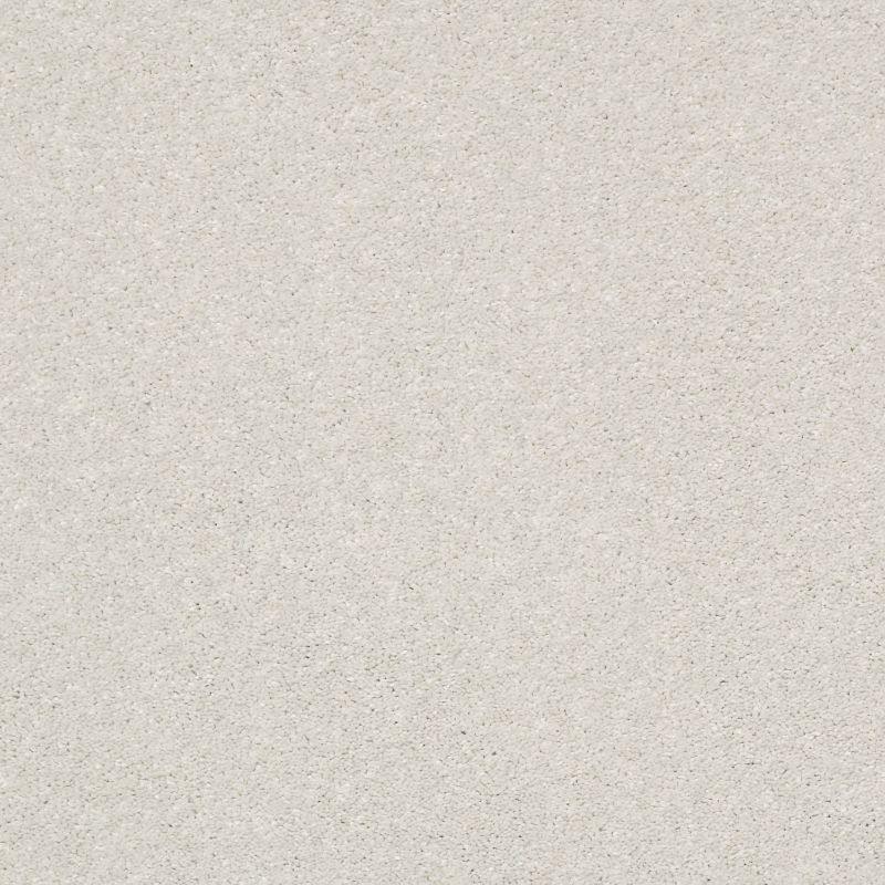 Shaw Floors Nfa Rule Breaker Dew