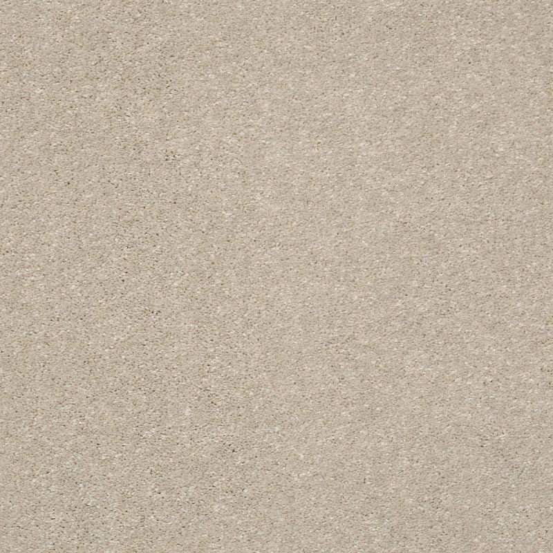 Shaw Floors Nfa Rule Breaker Arctic Fox