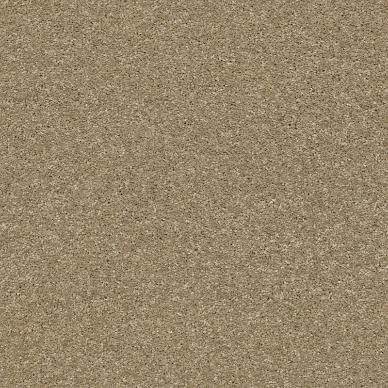 Shaw Floors Nfa Rule Breaker Gold Rush