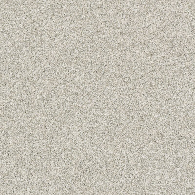 Shaw Floors Nfa Just A Touch I Platinum
