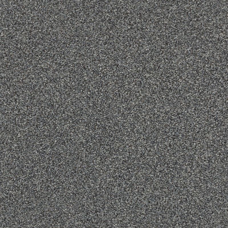 Shaw Floors Nfa Just A Touch I Steel