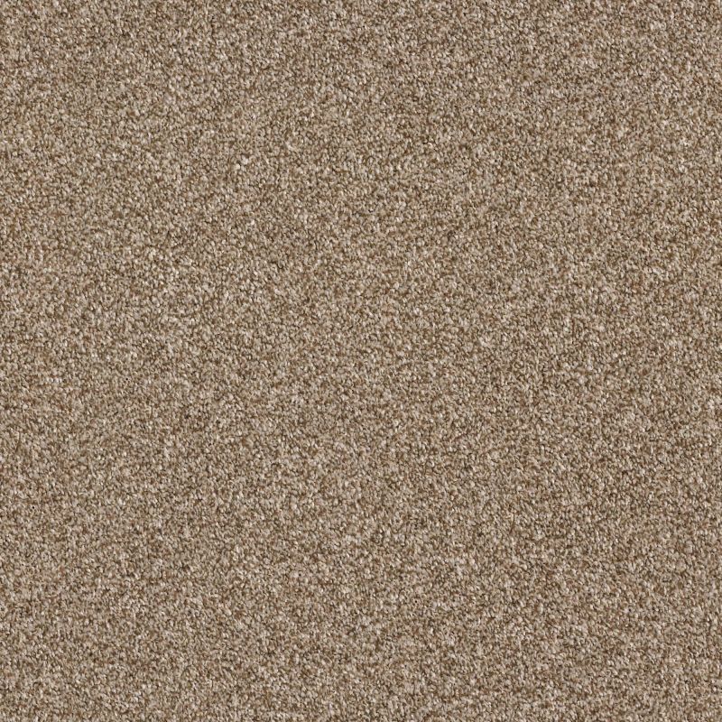 Shaw Floors Nfa Just A Touch I Bronze