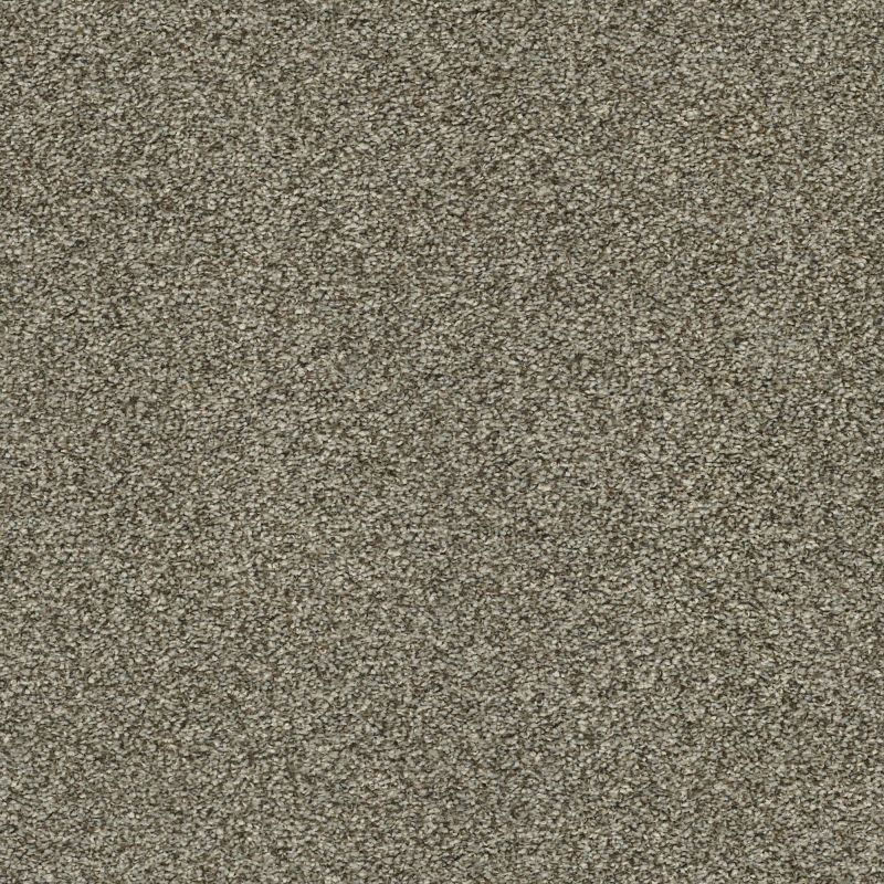 Shaw Floors Nfa Just A Touch I Dreamy Taupe