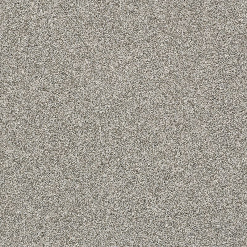 Shaw Floors Pet Perfect Plus Just A Touch II Sterling
