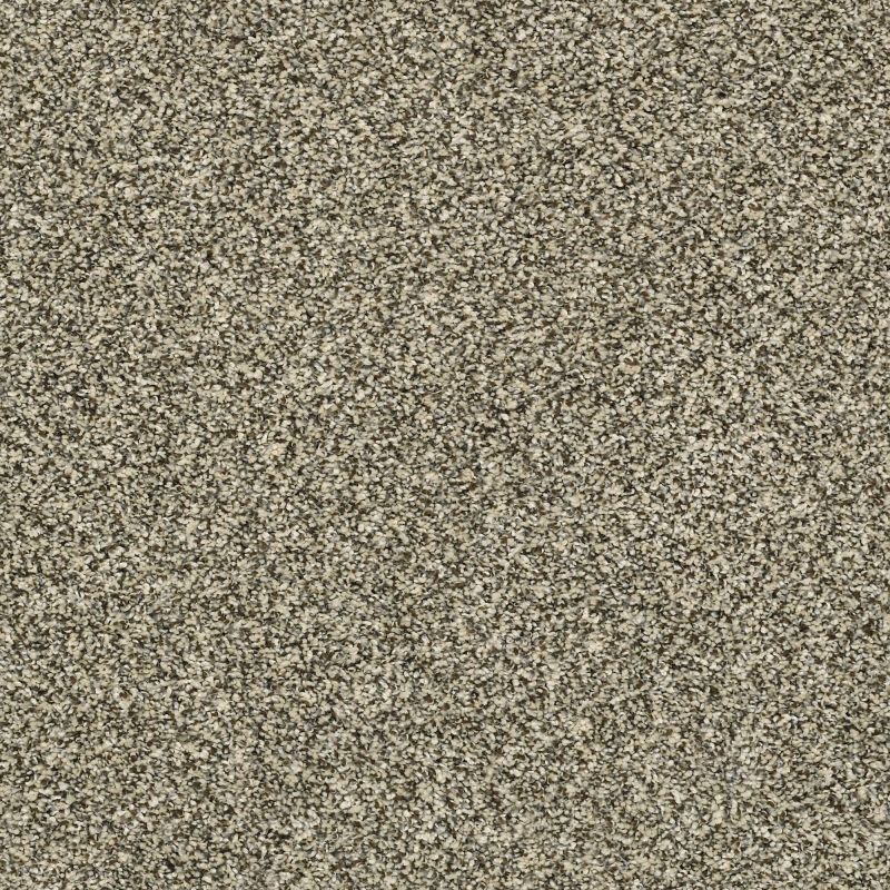Shaw Floors Nfa Obviously I Eggshell