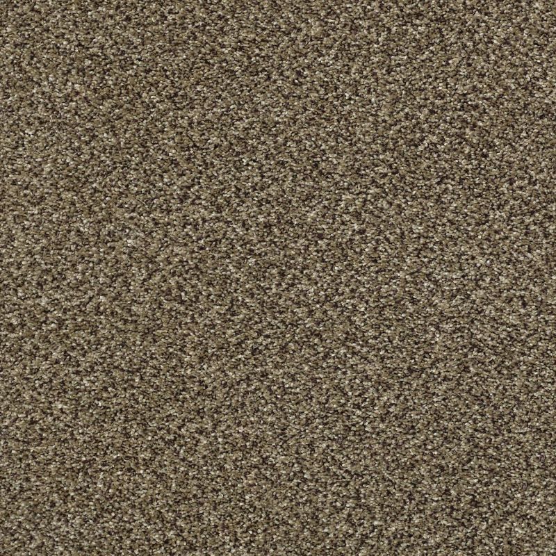 Shaw Floors Nfa Obviously II Leather