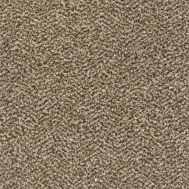 Shaw Floors Nfa It's About Time Honey Bear