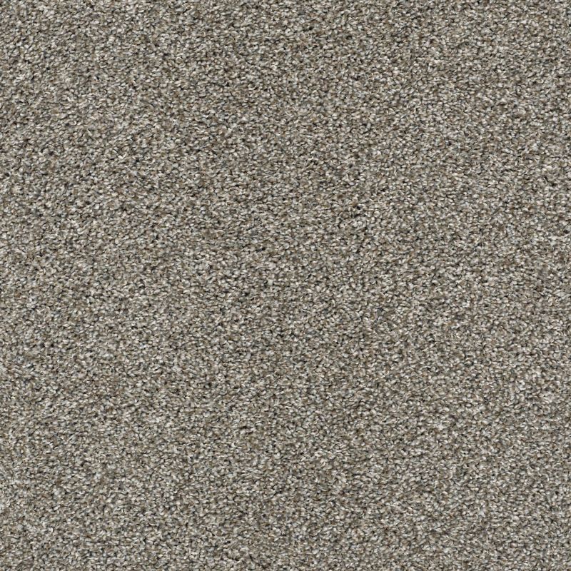 Shaw Floors Nfa It's About Time Bird Bath