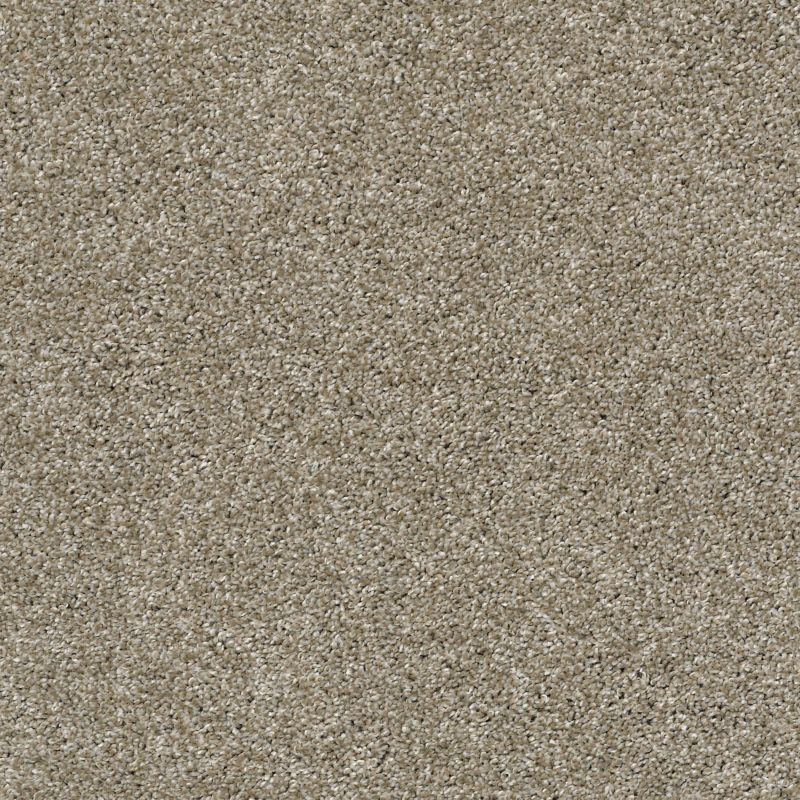 Shaw Floors Nfa It's About Time Wild Truffle