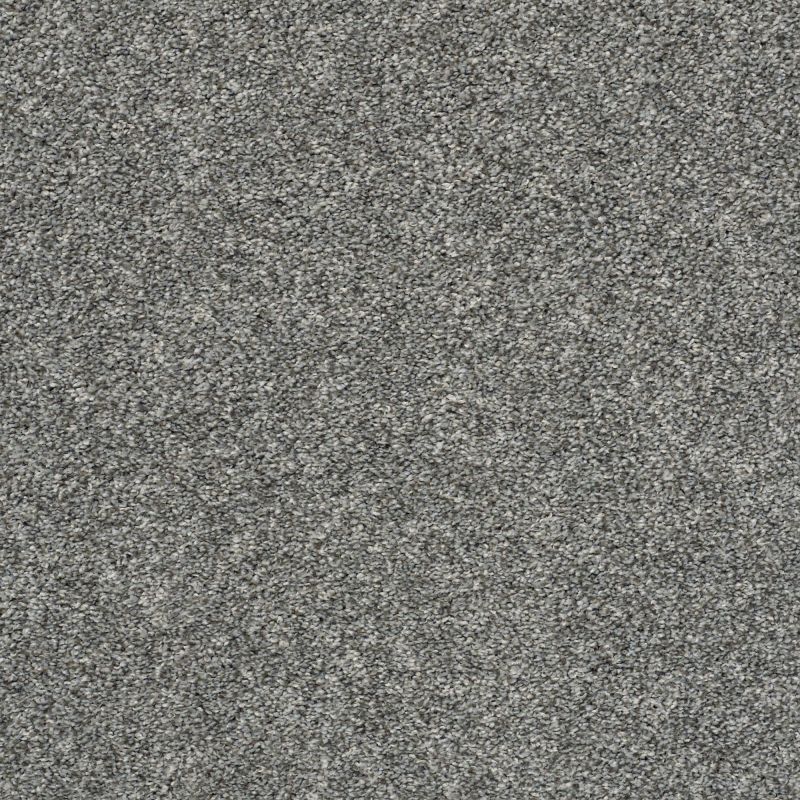Shaw Floors Nfa You Got It II Sparrow