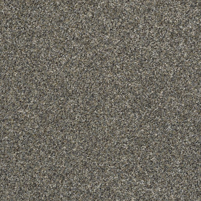 Shaw Floors Nfa You Got It II Granite Dust
