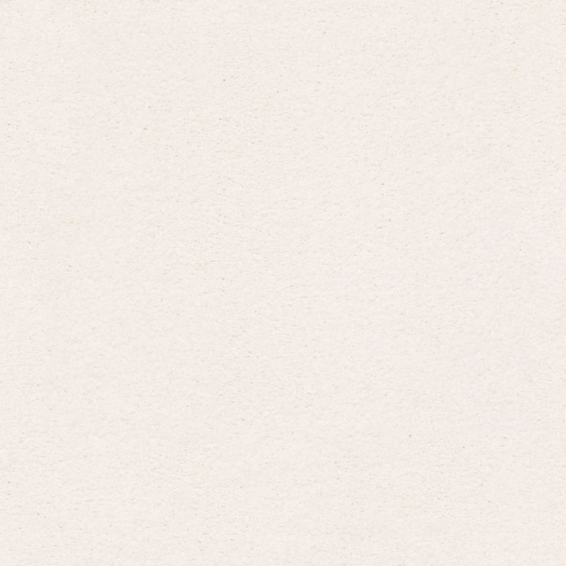 Shaw Floors Nfa/Apg Subtle Charm I Sweet Innocence (s)
