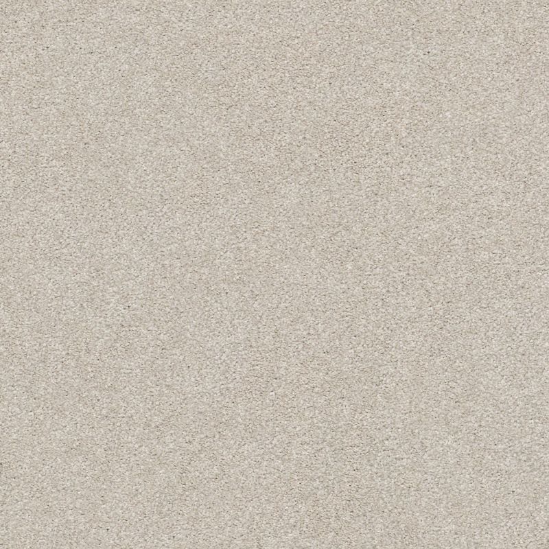 Shaw Floors Nfa/Apg Subtle Charm I Shoreline Haze (s)