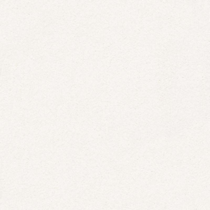 Shaw Floors Nfa/Apg Subtle Charm I Wedding Day (s)